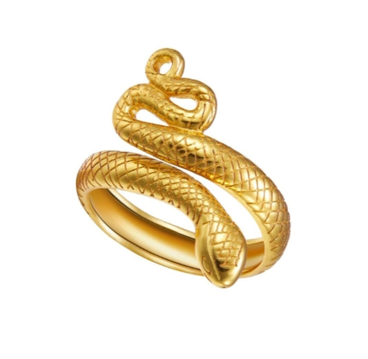 ANILLO SNAKE PLATA